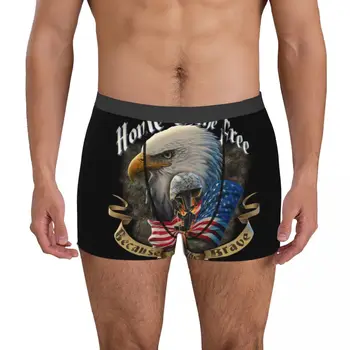 Eagle Underpants Хлопчатобумажные трусики Мужское нижнее белье Вентилирующие шорты