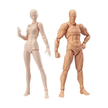 Кукла для тела, манекен художника, болван, соединенный манекен, рисующий фигурки, набор Мужчина + женщина (цвет кожи)